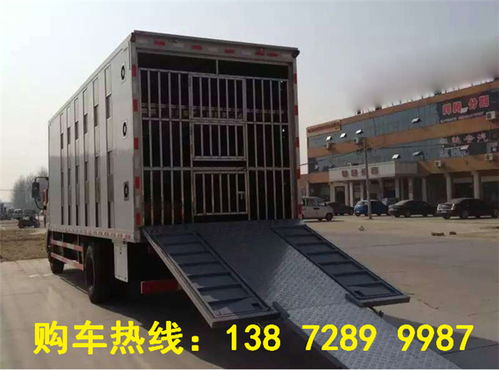【好用的6.8米的生豬專用運輸車去哪里買】-