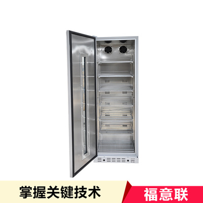 藥品恒溫冷藏柜 藥品用冰柜 臨床用帶鎖藥品冰箱