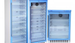 人類海馬體精細亞區處理工作記憶的神經動力學機制