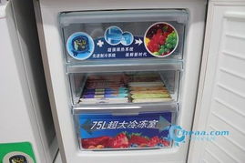 歲末選家電 2011年最給力的冰箱大放送